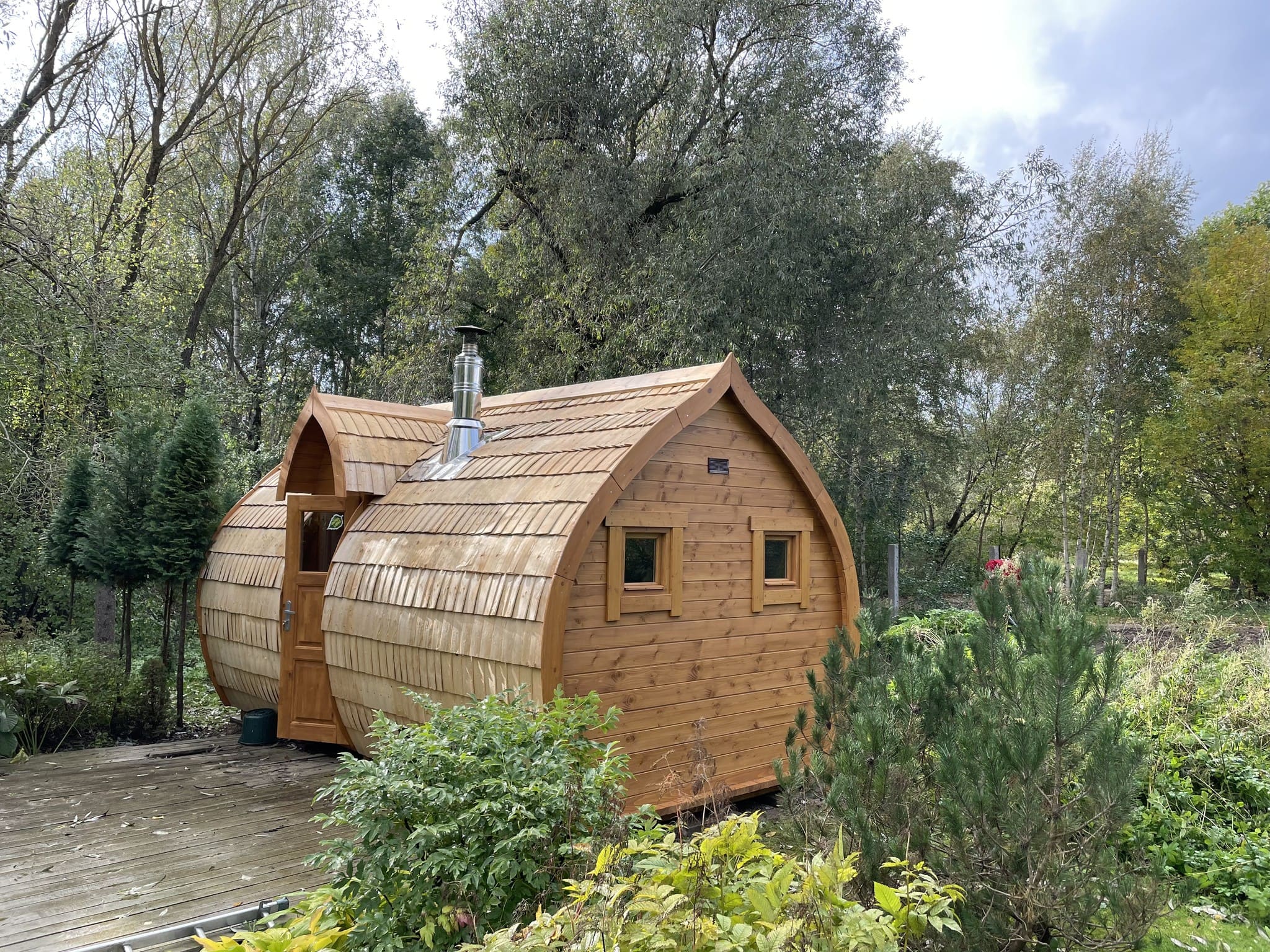 Kingsauna background